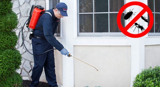 Karpuzlu Fare İlaçlama böcek ilaçlama ve haşere kontrolü — ilaclama-tr.com